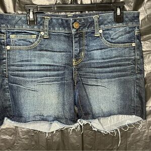 American Eagle Outfitters Dark Wash Denim